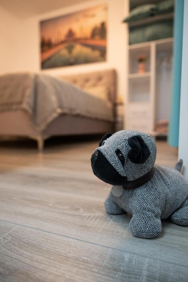 L&R Boutique Apartment Otelu Rosu Buitenkant foto